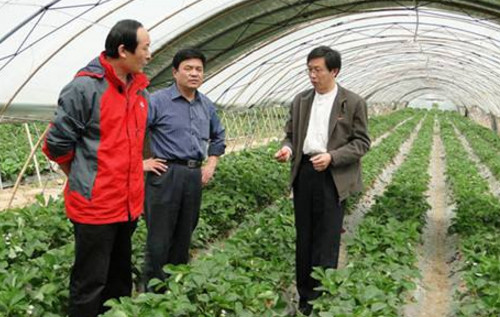 隐藏在农村的创业好项目有哪些